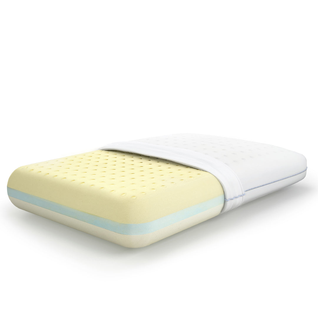 MoltyMemory 2in1 Pillow ICONA