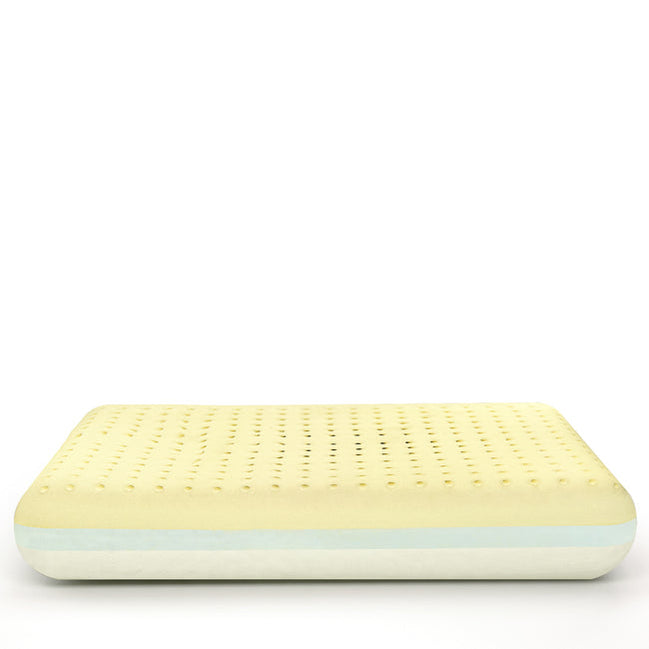 MoltyMemory 2in1 Pillow ICONA