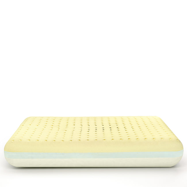 MoltyMemory 2in1 Pillow