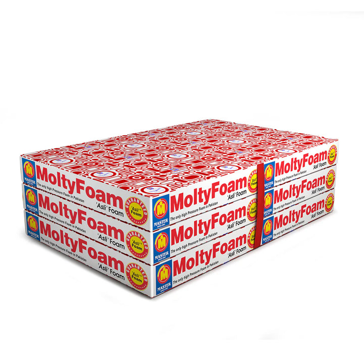 MoltyFoam Fold-A-Bed