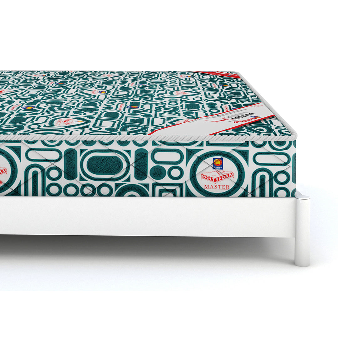 Molty Eco ICONA