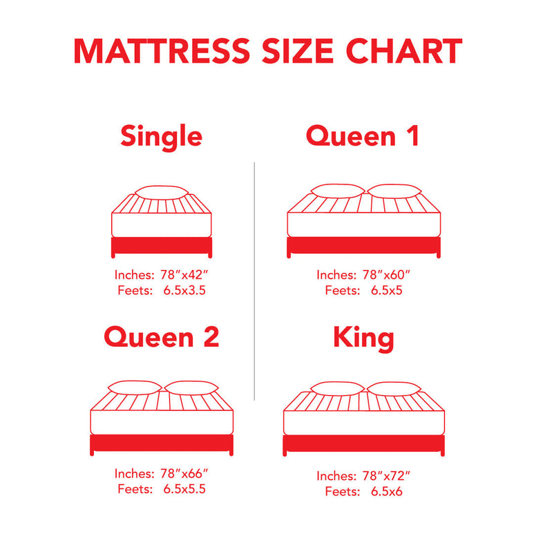 MoltyFoam Plus Mattresses